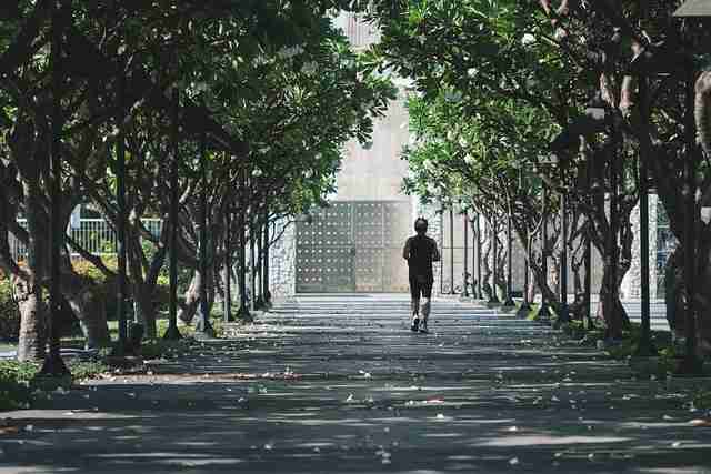 蘑菇影视在线观看4K下载功能盘点