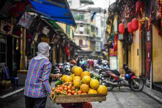 新锐观察:黑料资源平台生态透视|新手福音